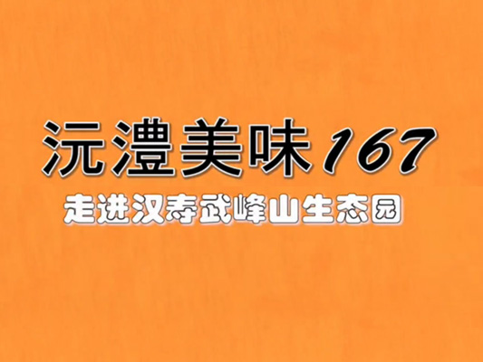 漢壽武峰山生態(tài)園-沅澧美味167